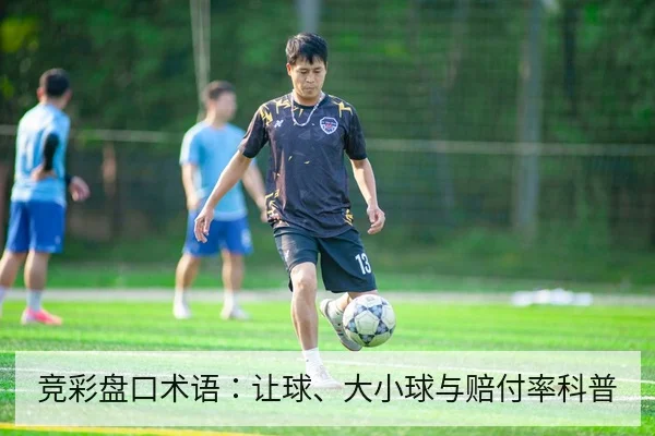 竞彩盘口术语：让球、大小球与赔付率科普