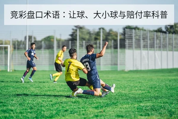 竞彩盘口术语：让球、大小球与赔付率科普